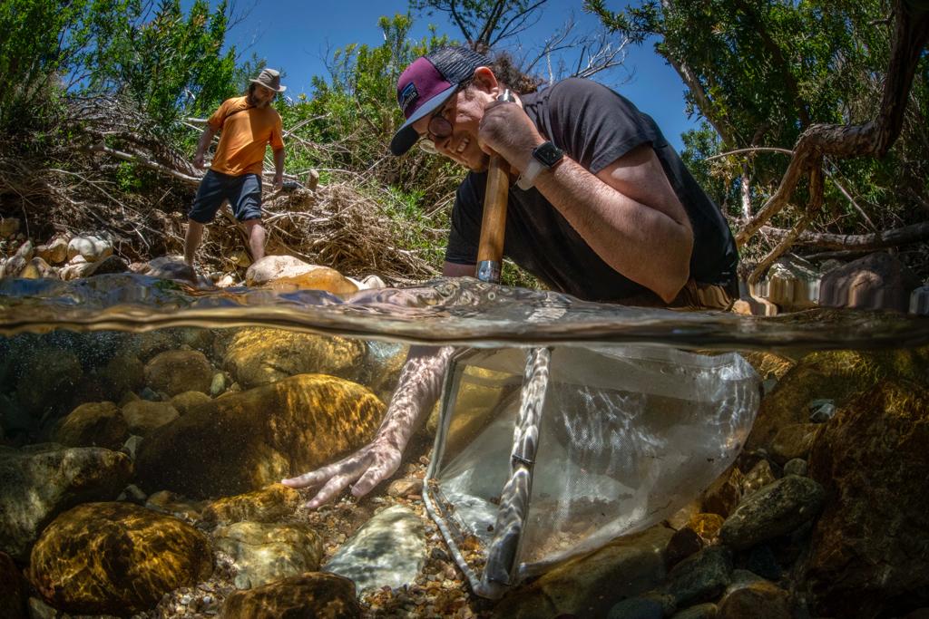Benthic macroinvertebrate inventory collection within the headwaters of the Berg River, Jonkershoek Nature Reserve, South Africa. This image was taken by Jeremy Shelton of Fishwater Films for an upcoming documentary on NASA's Biodiversity Survey of the Cape (BioSCape) campaign.